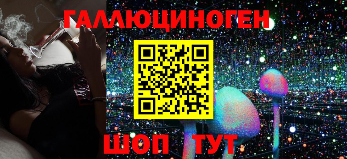 Псилоцибиновые грибы Psilocybe  Вход с VPN  Шатура 