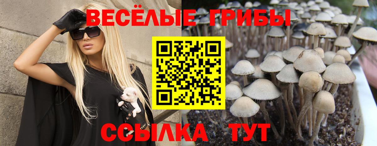 Галлюциногенные грибы мухоморы Шатура