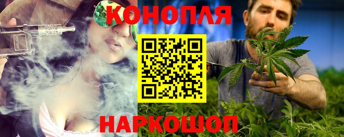 Канабис OG Kush Шатура